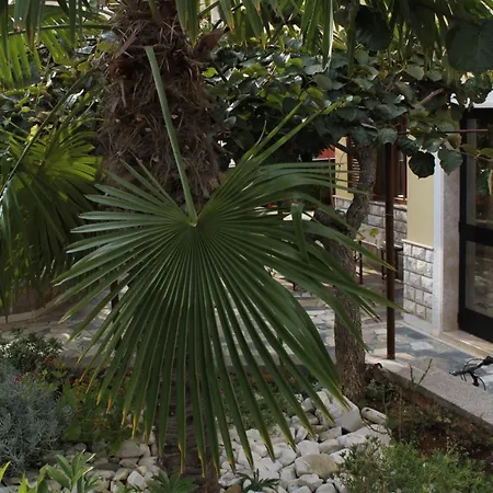 With Parking Space Novigrad - 7108 Apartmán *