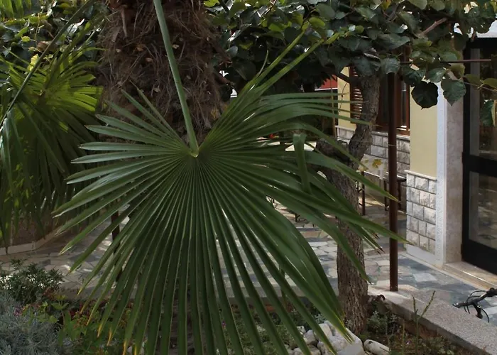 With Parking Space Novigrad - 7108 Διαμέρισμα *